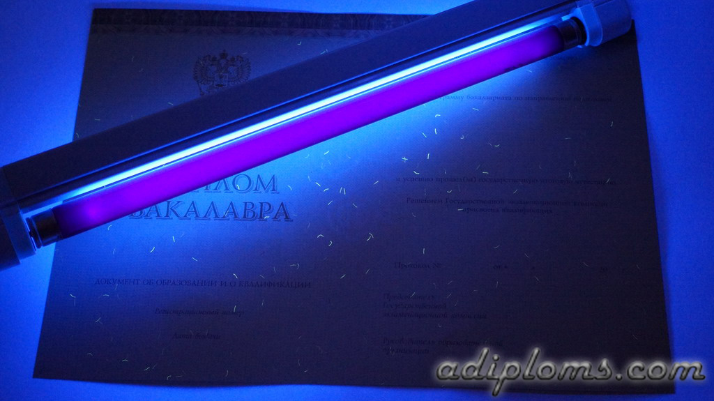 Диплом бакалавра 2014-2026 Фото Диплом бакалавра 2014-2026 Фото