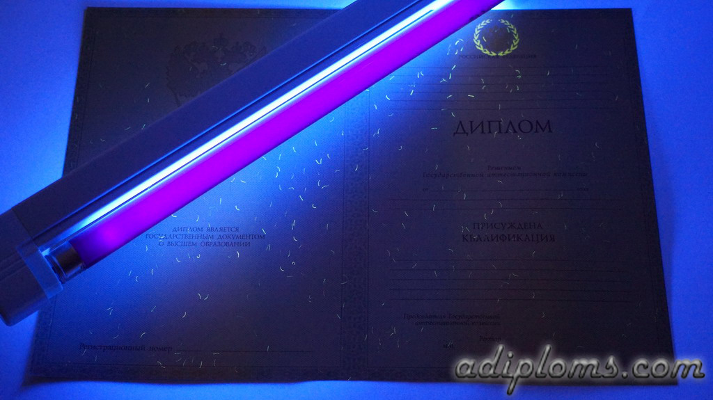 Диплом специалиста 2011-2013 Фото Диплом специалиста 2011-2013 Фото