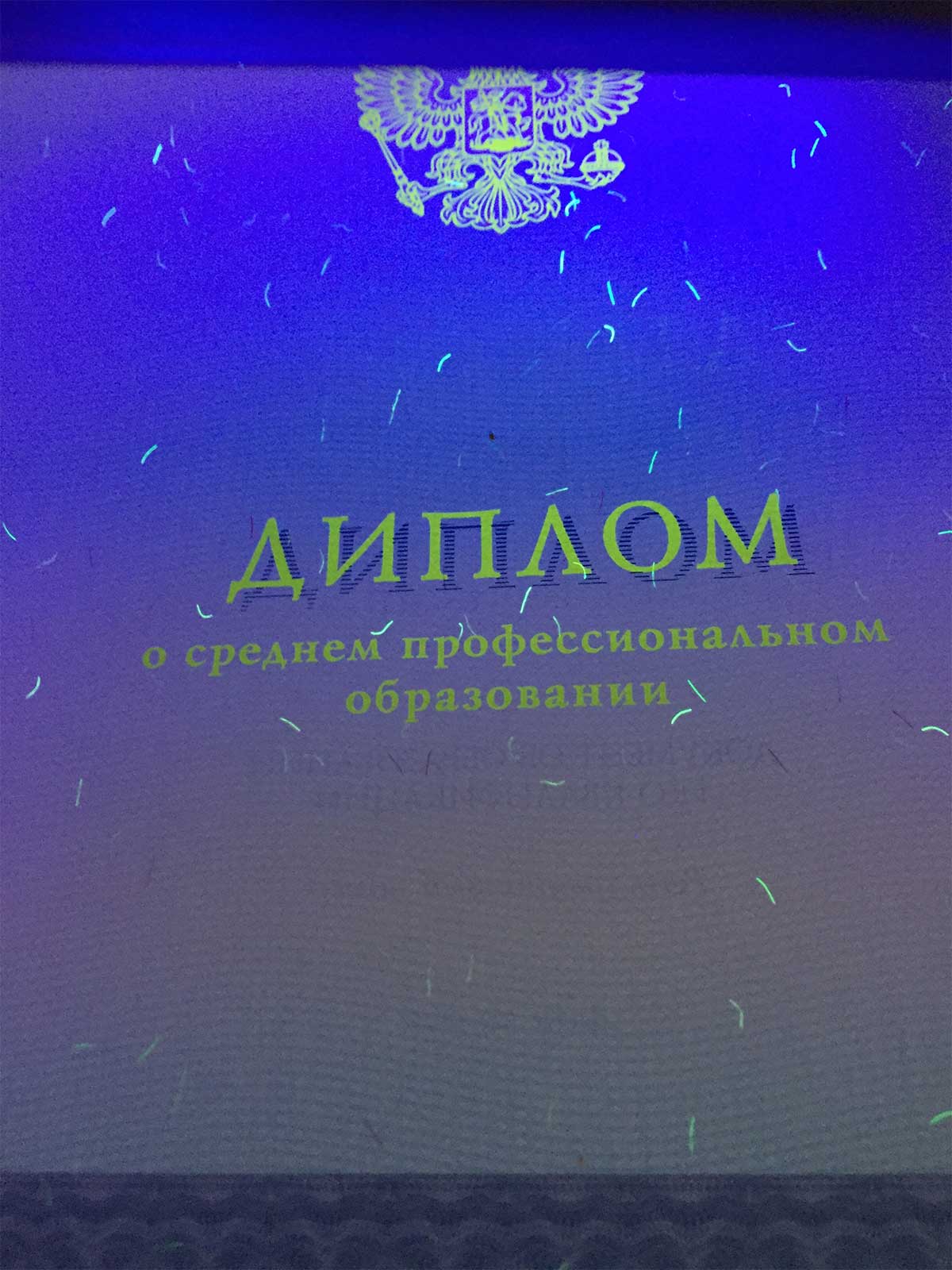 Диплом техникума, колледжа 2014-2026 Фото Диплом техникума, колледжа 2014-2026 Фото